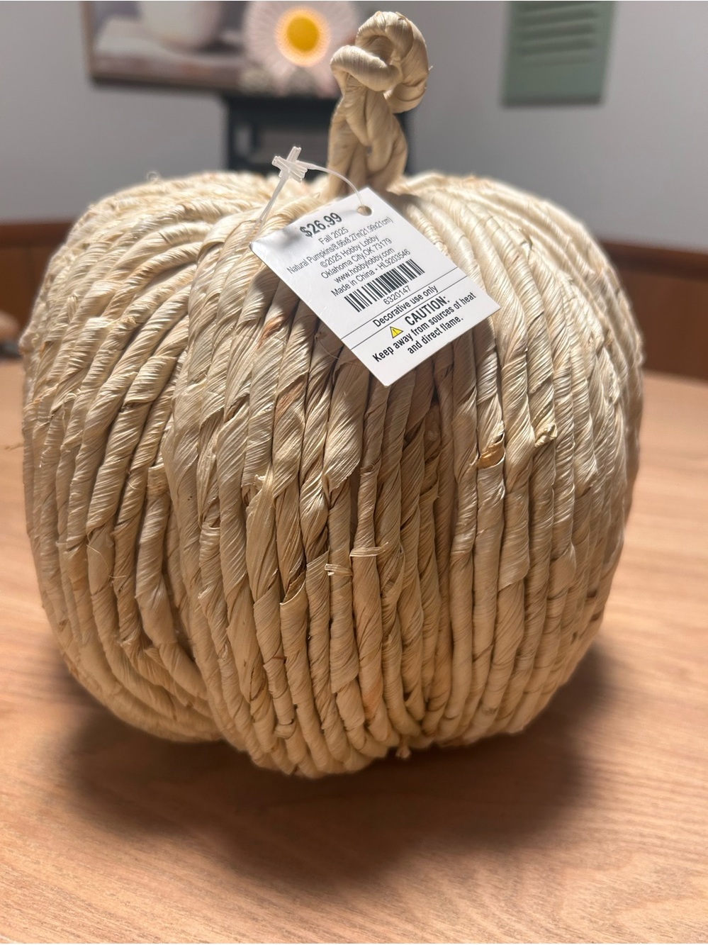 Natural Cream Decorative Rope Pumpkin by Hobby lobby NWT